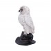 Owl Soren 