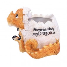 Dragon Pot Home Is Where My Dragon Is ** On Sale ** LAST CHANCE  BUY **