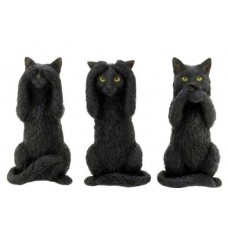 Three Wise Cats 