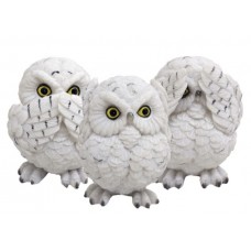 Three Wise Owls 