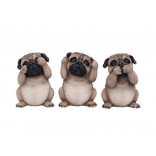 Three Wise Pugs