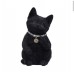 Black Cat Cattitude