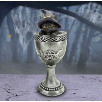 Black Cat Coven Cup