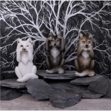 Three Wise Wolves 