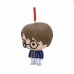 Harry Potter Hanging Harry ** On Sale **