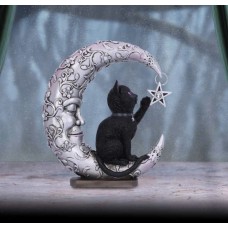 Black Cat On Moon Luna Companion