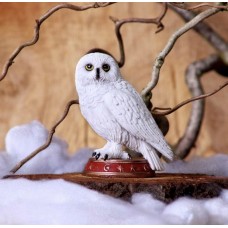 Owl Wizards Familiar