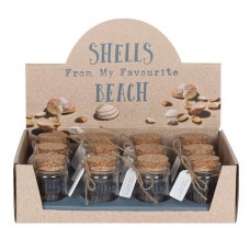 Glass Bottle Shells From My Favourite Beach ** On Sale **