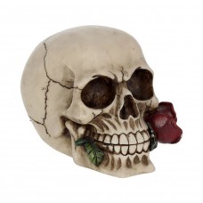 Skull Rose From The Dead