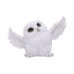 Owl Snowy Delight 