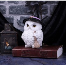 Owl Snowy Magic 