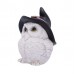 Owl Snowy Spells 